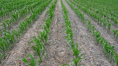 Lluvias, granizo y heladas repartieron “bendiciones” y “castigos” entre los cultivos