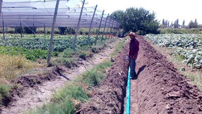 Agroindustria financia tecnología de riego para horticultores de Mendoza