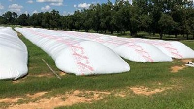 Una firma argentina de silobolsas logró aumentar 50% sus ventas en EE.UU.