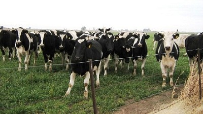 Suma adhesiones la protesta de este jueves en Trenque Lauquen por la lechería