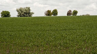 El Senasa prohibió la utilización de cinco sustancias activas