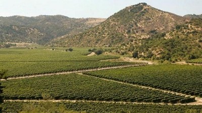 Por la sequía, el consumo de fertilizantes apenas creció 4%