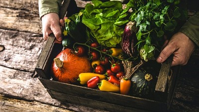 Agricultura orgánica y edición genética: ¿Contradicción o una combinación sustentable para el medio ambiente?