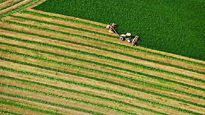 Tras las críticas del campo, aceptan morigerar el fin de una exención para los inmuebles rurales
