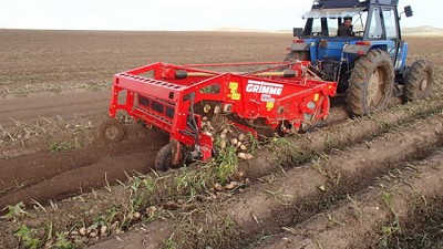 Grimme sumó la hileradora WH200 para el cultivo de la papa