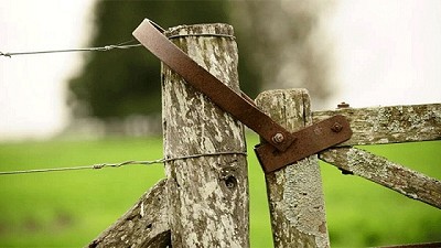 La devaluación provocó un freno en la actividad inmobiliaria rural