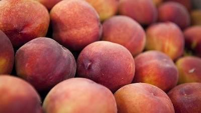 Época de cosecha: llega el calor y también el comercio y consumo de durazno