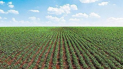 Proyectan disparada de alquileres rurales si entran en Bienes Personales