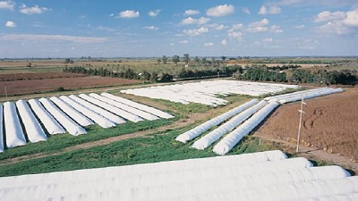 Silobolsas: ocho secretos claves para cuidar su contenido