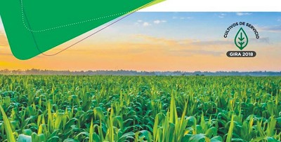 Compartiendo experiencias. Jornada técnica a campo