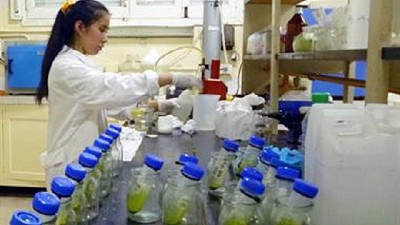 Con microalgas logran reducir la contaminación en el Riachuelo