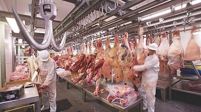 Exportaciones de carne vacuna llegarían a 500.000 toneladas a fin de año