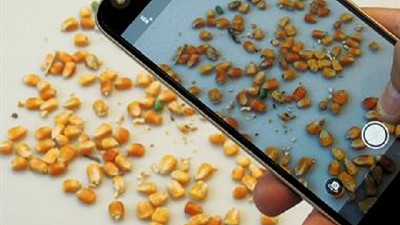 Inteligencia artificial: un desarrollo clave para cereales y lo que viene, por Juan Manuel Barrero