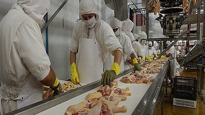 Brasil inspecciona por seguridad sanitaria a la exportación de pollos