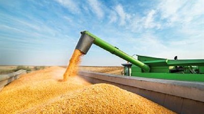 Granos: avisos de precios a la baja, por Pablo Adreani