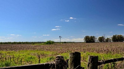 Caída interanual del 25 por ciento en la actividad inmobiliaria rural