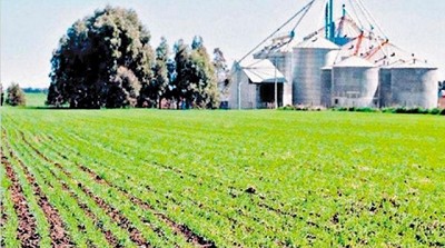 Pymes del agro, en alerta por otro impuestazo