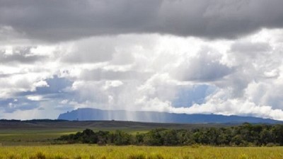 Estiman un clima favorable para el próximo trimestre