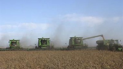 Soja: un informe académico aconseja avanzar en políticas para el agregado de valor