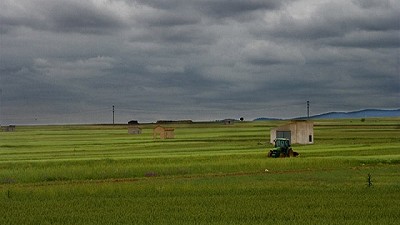 Registro de lluvias recopiladas el 5 de noviembre