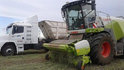 No importa la escala, la clave es mantener al máximo la productividad