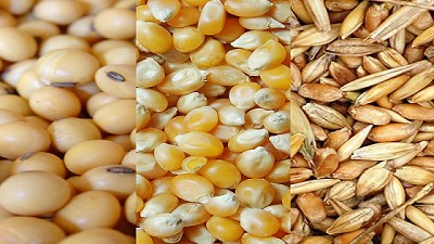 Cambios en derechos de exportación: ¿qué efecto generó sobre las campañas agrícolas 2018/19 y 2019/20?