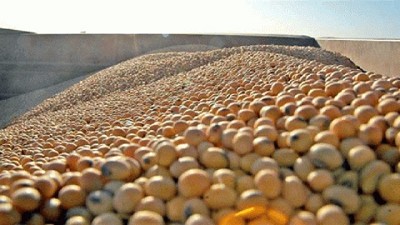 La industria aceitera se focaliza en la eficiencia energética