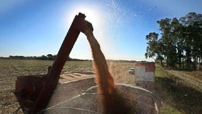 Por el efecto de las retenciones en el 2019 caería la siembra en un millón de hectáreas 
