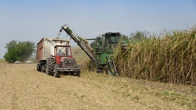 Comienza el control comercial al sector azucarero