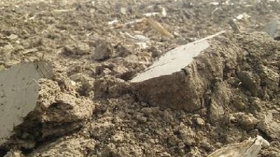 Malezas y una pérdida que va más allá de un ciclo