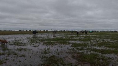 En 72 horas, varias zonas agrícolas quedaron anegadas