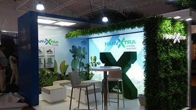 Llega la primera alfalfa genéticamente mejorada y reducida en lignina