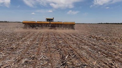Perspectivas para la campaña de soja en el NEA 