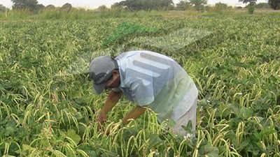 El Renatre informa que los empleadores rurales tienen hasta fin de noviembre para la actualización de sus datos
