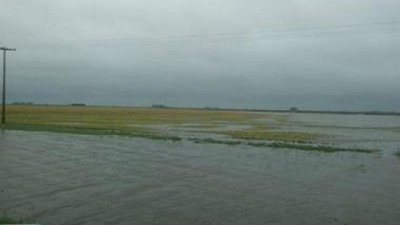 Por las últimas lluvias, en el sudeste cordobés en soja la napa quedó a 72 centímetros