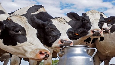 Nueve meses de rentabilidad negativa