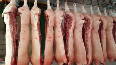 Detectan triquinosis en un frigorífico de Río Tercero