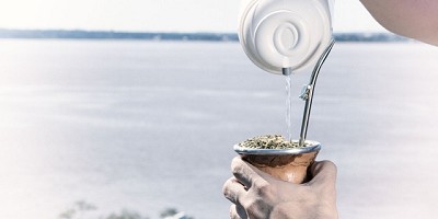 Yerba mate: las exportaciones alcanzaron un récord histórico y el consumo interno es el mejor en diez años