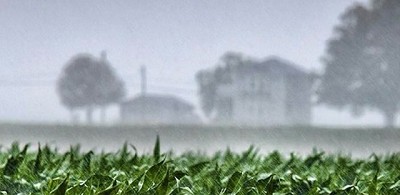 Las sucesivas lluvias complicaron el inicio del ciclo de la soja 