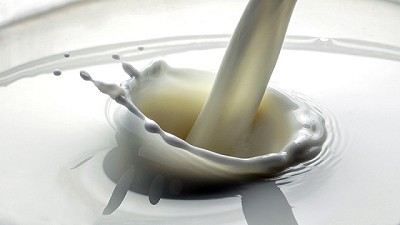 Convocan a pymes lácteas a presentar propuestas para mejorar su desarrollo y eficiencia