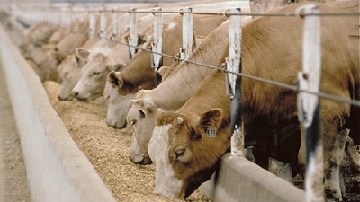 Se siguen sumando gestiones online en la plataforma TAD