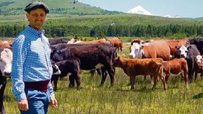 Un planteo a toda orquesta con cría, recría y terminación en Neuquén