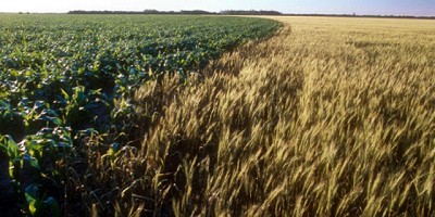 Ya se otorgaron $ 15 millones en créditos en Córdoba para la reactivación productiva