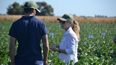 Una herramienta para controlar la fitotoxicidad en los cultivos