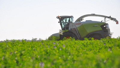 Una experiencia tecnológica que se consolida