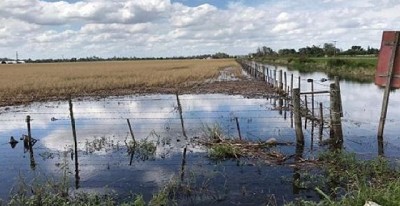 Alerta: napas recargadas podrían complicar la campaña