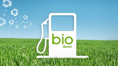 ¿Cómo será la situación del biodiesel en el 2019?