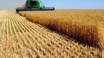 Cómo potenciar la cosecha para tener más rentabilidad