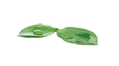 Tecnologías de insumos agrícolas complementarias, cada vez más necesarias