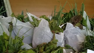 Primera experiencia de Compra Pública para abastecer programas alimentarios